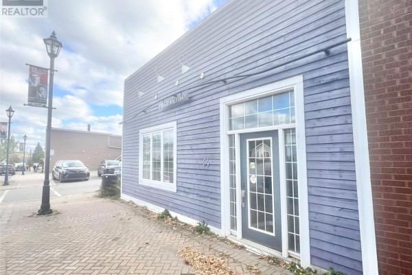 54 High Street, Grand Falls Windsor, NL A2A1C6 Photo 2