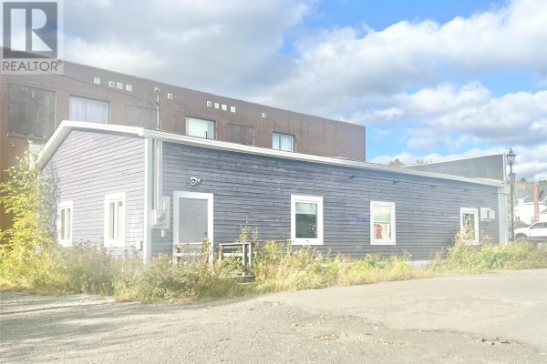 54 High Street, Grand Falls Windsor, NL A2A1C6 Photo 3