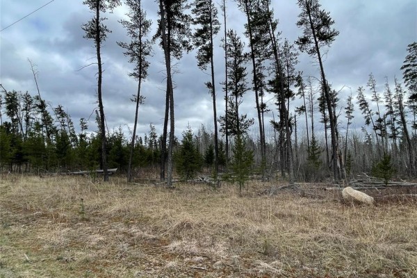54 Morning Glory Drive, Woodridge, MB R0A2N0 Photo 2