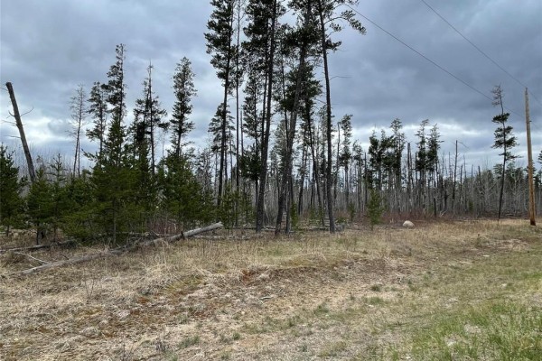 54 Morning Glory Drive, Woodridge, MB R0A2N0 Photo 3