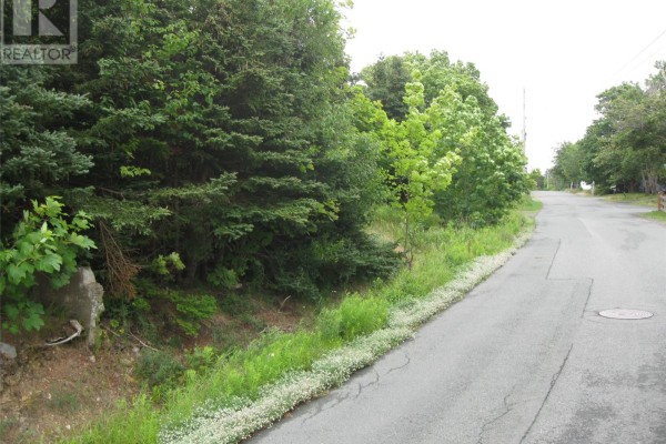 View down an asphalt road bordered by trees and a grassy slope. - 56 N Robert's Road N, Conception Bay South