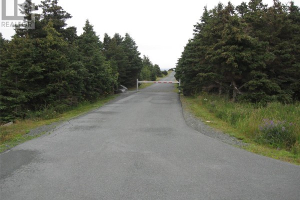 Paved road with gravel shoulders leads towards a white barrier gate. - 56 N Robert's Road N, Conception Bay South