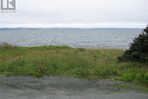 Overcast sky above calm water and a grassy shoreline with trees. - 56 N Robert's Road N, Conception Bay South