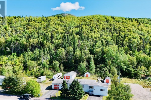 Utility room - 54 Premier Drive, South Brook, NL A0J1S0 Photo 2