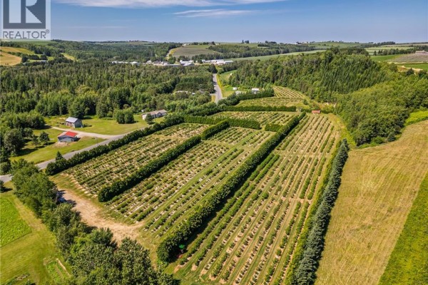 54 Sutherland Brook Road, Dsl De Drummond/dsl Of Drummond, NB E3Y2L6 Photo 4