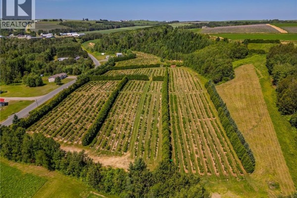 54 Sutherland Brook Road, Dsl De Drummond/dsl Of Drummond, NB E3Y2L6 Photo 5