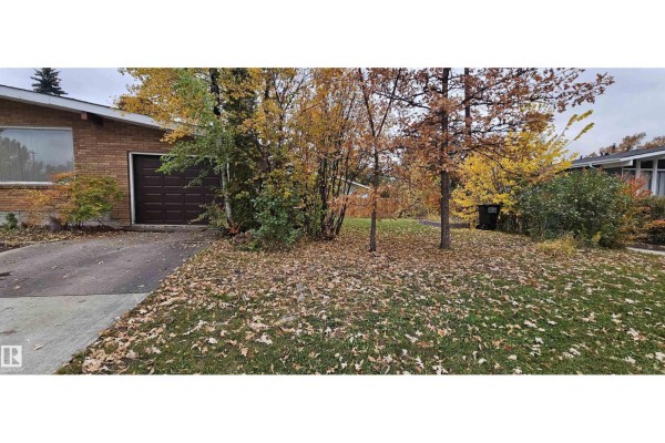 Kitchen - 5404 111a St Nw, Edmonton, AB T6H3H1 Photo 3