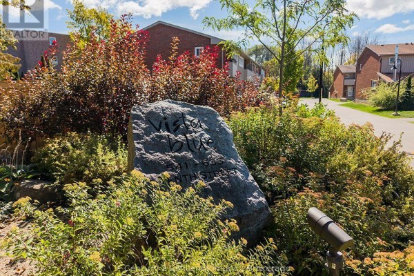 A rock with 'Vista Blue' and street numbers inscribed, surrounded by landscaping and foliage. - 541 Tenth Street, Collingwood