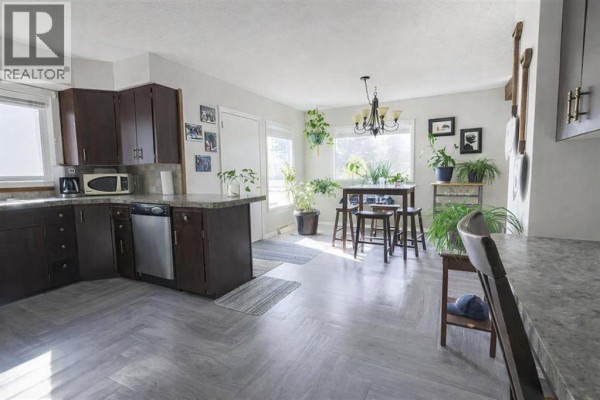 Kitchen - 5424 51 Avenue, Rocky Mountain House, AB T4T1E8 Photo 5