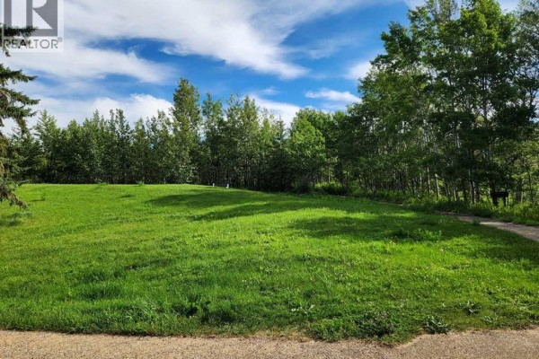 5430 51a Street, Bashaw, AB T0B0H0 Photo 4