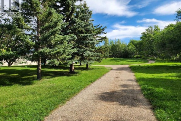 5430 51a Street, Bashaw, AB T0B0H0 Photo 5