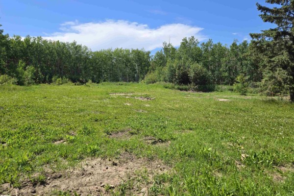 54516 Rge Road 41, Rural Lac Ste  Anne County, AB, photo 2