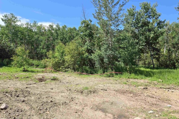 54516 Rge Road 41, Rural Lac Ste  Anne County, AB, photo 3