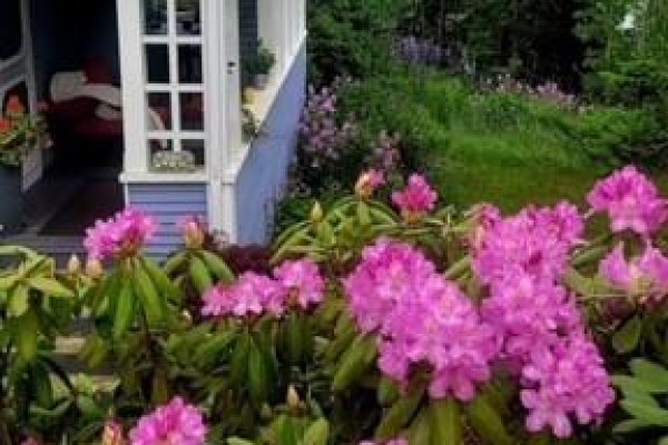 Bedroom - 549 Main Street, Beaver Harbour, NB E5H1M6 Photo 3