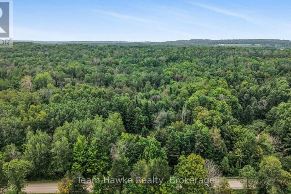 5493 Mcmann Side Road, Tay, ON L0K2E0 Photo 4