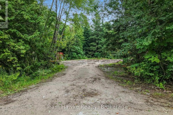 5493 Mcmann Side Road, Tay, ON L0K2E0 Photo 5