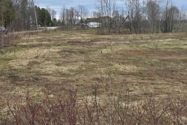 Overgrown field with scattered houses and trees in the distance under a cloudy sky. - 5496 Fairvalley Road, Ramara Road, Ramara
