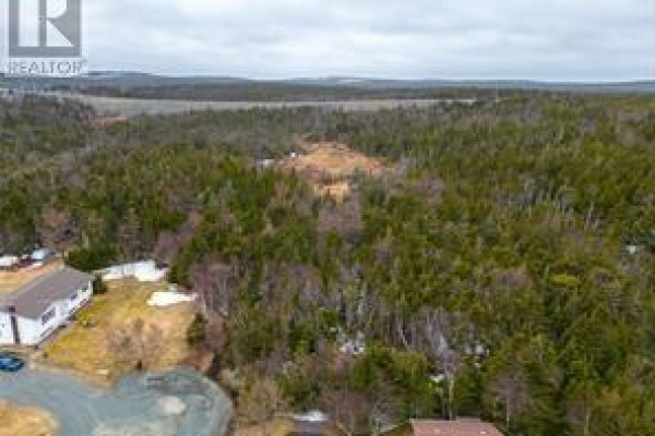 55 Garden Road, Torbay, NL A1K1H5 Photo 4