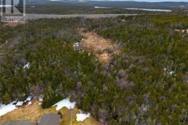 55 Garden Road, Torbay, NL A1K1H5 Photo 5