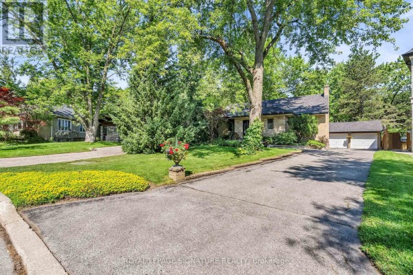 Kitchen - 55 Hemford Crescent, Toronto, ON M3B2S4 Photo 5