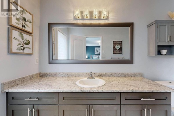 Gray vanity, granite countertop, vessel sink & large mirror - 55 Stocks Lane Aurora