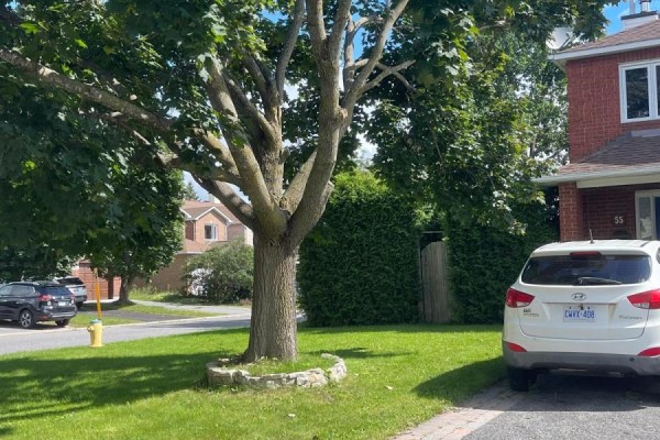 55 Whitegate Crescent, Ottawa, ON K2J4B7 Photo 2