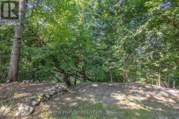 Yard with stone wall and mature trees - 55 Young Street Tillsonburg