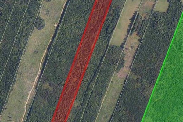 55.2 Acres Williamstown Road, Williamstown, NB E1V5E9 Photo 2