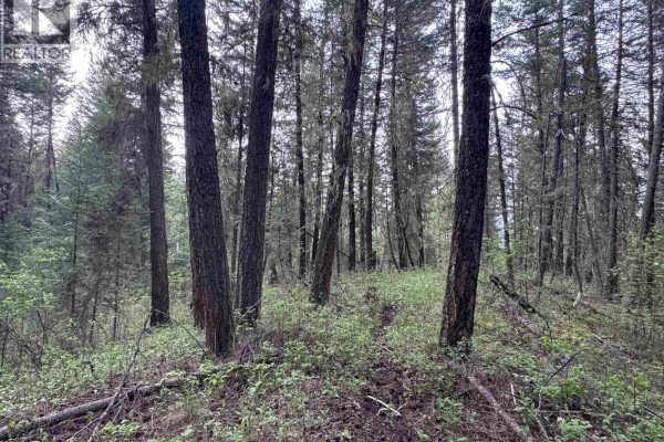 550 Dog Creek Road, Williams Lake, BC V2G3P9 Photo 4