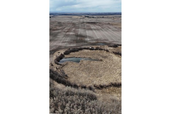 55020 Rr 260, Rural Sturgeon County, AB T8T0W5 Photo 5