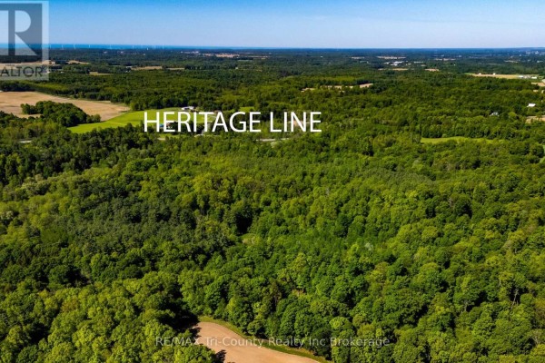 Aerial view of wooded land with a clear sky and distant wind turbines. - 55234 Heritage Line, Bayham