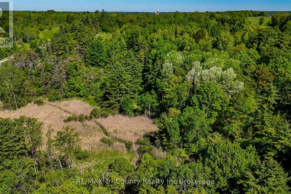 Overhead view of a marshy area surrounded by dense green trees. - 55234 Heritage Line, Bayham