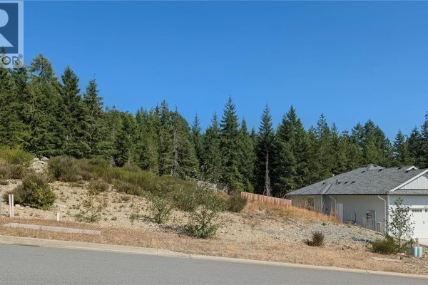 553 Mountain View Dr, Lake Cowichan, BC V0R2G1 Photo 4