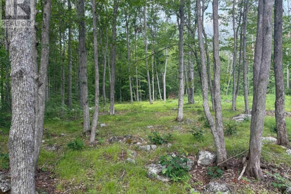 554 Pigden Road, Madoc, ON K0K2K0 Photo 2