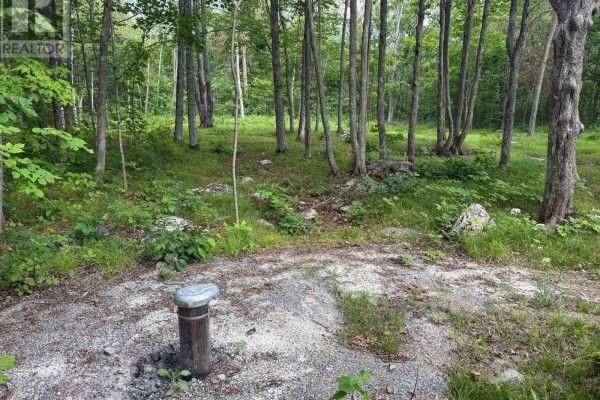 554 Pigden Road, Madoc, ON K0K2K0 Photo 3