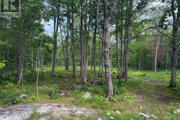 554 Pigden Road, Madoc, ON K0K2K0 Photo 4