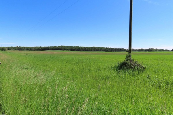 55421 Rge Road 31, Rural Lac Ste  Anne County, AB, photo 2