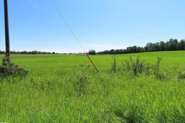 55421 Rge Road 31, Rural Lac Ste  Anne County, AB, photo 3