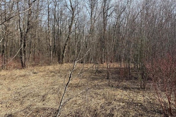 556 Mcarthur Avenue, Lac Du Bonnet, MB R0E1A0 Photo 3