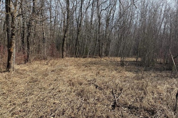 556 Mcarthur Avenue, Lac Du Bonnet, MB R0E1A0 Photo 4