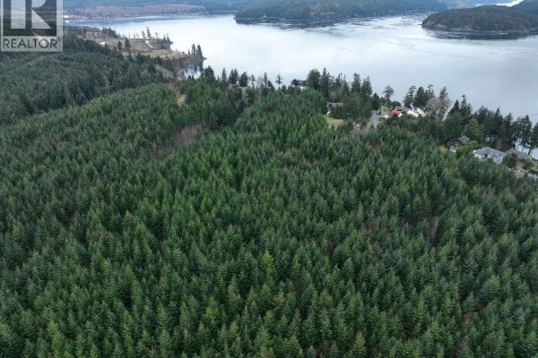 5567 Raceway Rd, Campbell River, BC V9H1N9 Photo 4