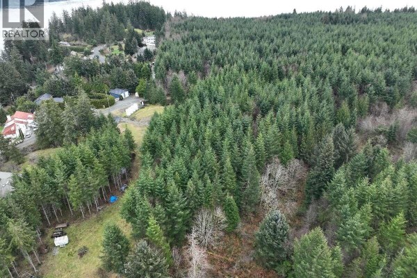 5567 Raceway Rd, Campbell River, BC V9H1N9 Photo 5
