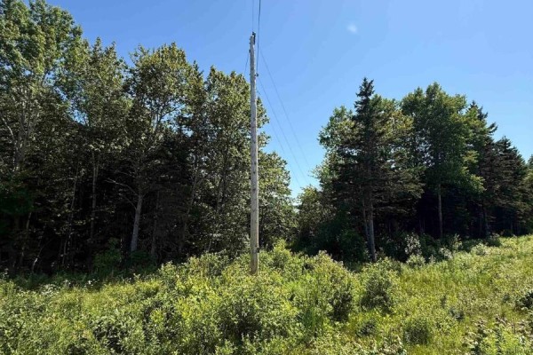 5569 Highway 105 Highway, Port Bevis, NS B0E1B0 Photo 5
