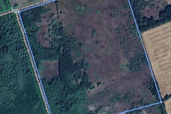557 Noonan Road, Alnwick/haldimand, ON, photo 3