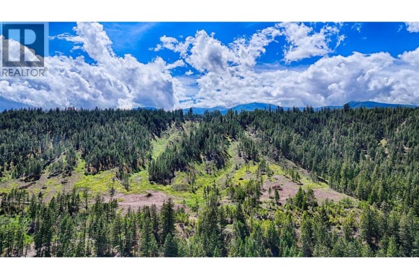 Aerial view of a densely forested mountain slope with clearings and scattered trees. - 5571 93/95 Highway, Fairmont Hot Springs