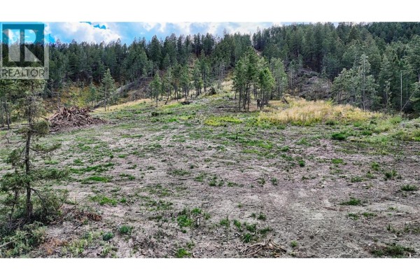Panoramic view of a vast, wooded mountainside with rugged terrain and blue sky. - 5571 93/95 Highway, Fairmont Hot Springs