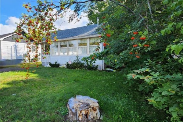 Backyard view showing a lawn, trees, a small blue shed, and a wooden deck with stairs. - 56 Airport Street, Dieppe