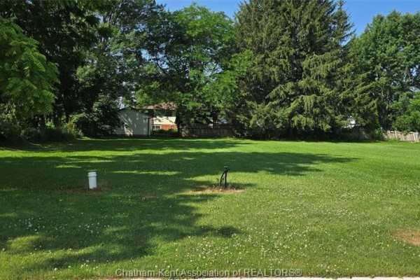 56 Albert Avenue, Ridgetown, ON N0P1C0 Photo 2