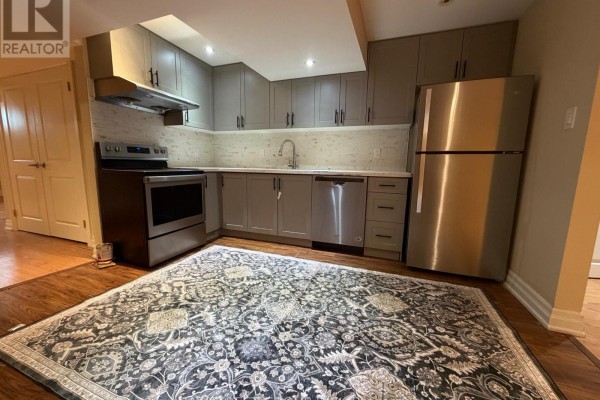 56 Albright (lower) Crescent, Richmond Hill, ON, photo 2