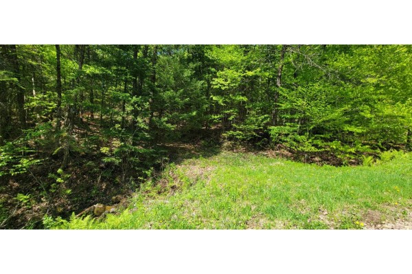 56 Ch. Du Mica, Val Des Monts, QC, photo 3